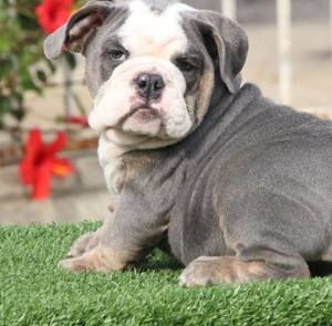 Meet your Posher, Lorena